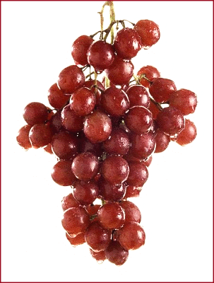 Free Grape Clipart