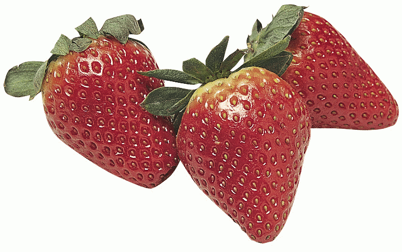 Free Berry Clipart