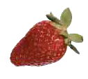 Free Berry Clipart