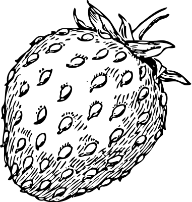 Free Fruit Clipart