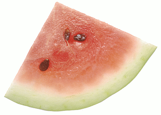 Free Melon Clipart