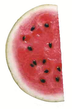 Free Melon Clipart