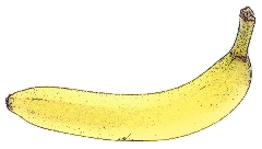 Free Banana Clipart