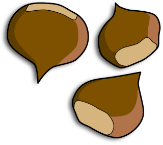 Free Nuts Clipart