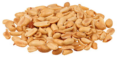 Free Nuts Clipart