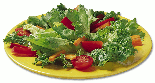 Free Salad Clipart