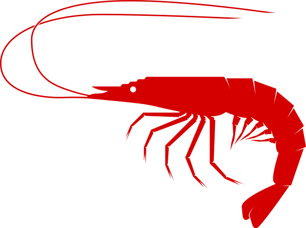 Free Shrimp Clipart