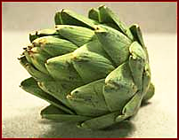 Free Artichoke Clipart