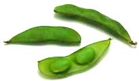 Free Fresh Beans Clipart