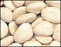 Free Dried Beans Clipart