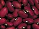 Free Dried Beans Clipart