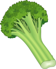 Free Broccoli Clipart