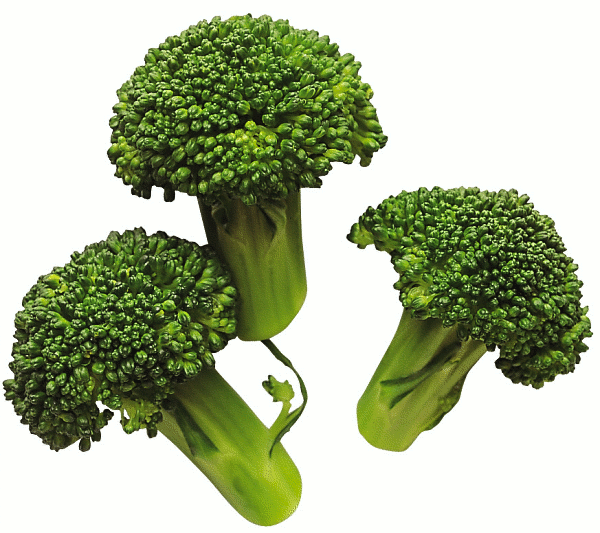 Free Broccoli Clipart