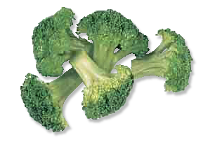 Free Broccoli Clipart