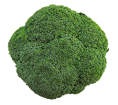 Free Broccoli Clipart