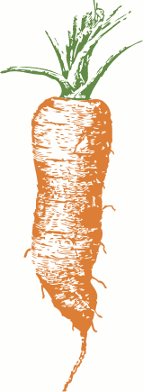 Free Carrot Clipart