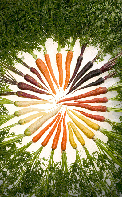 Free Carrot Clipart