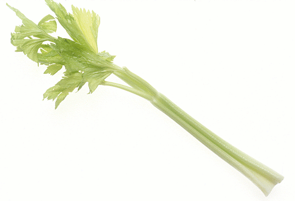 Free Celery Clipart