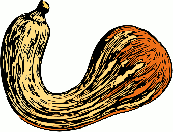 Free Squash Clipart