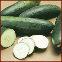 Free Cucumber Clipart