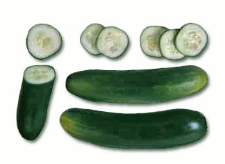 Free Cucumber Clipart