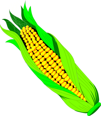 Free Sweet Corn Clipart