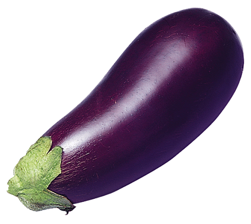 Free Eggplant Clipart