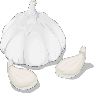 Free Garlic Clipart