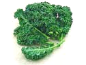 Free Kale Clipart