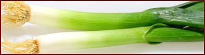 Free Leek Clipart