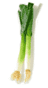 Free Leek Clipart