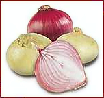 Free Onion Clipart