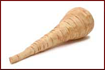 Free Parsnip Clipart