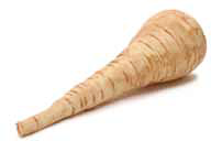 Free Parsnip Clipart