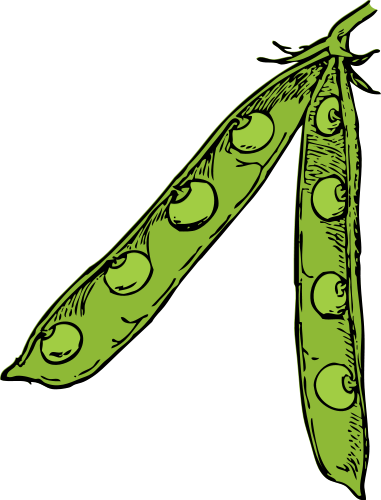 Free Vegetable Clipart