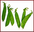 Free Pea Clipart