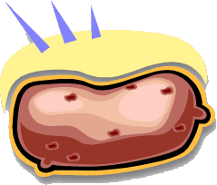 Free Potato Clipart