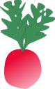 Free Radish Clipart