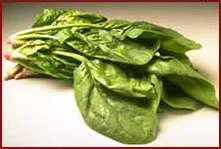 Free Spinach Clipart