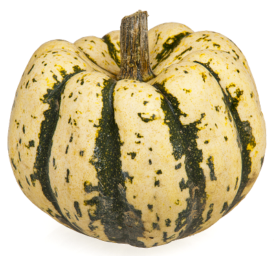 Free Squash Clipart