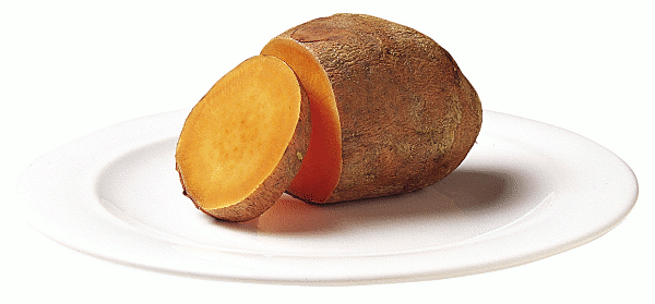 Free Yam Clipart