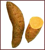 Free Sweet Potato Clipart