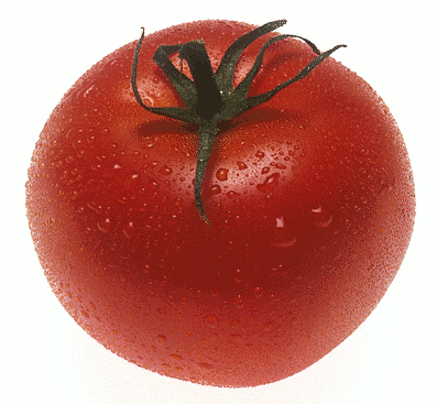 Free Tomato Clipart