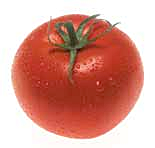 Free Tomato Clipart