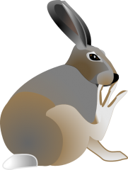 Free Cartoon Bunny Clipart