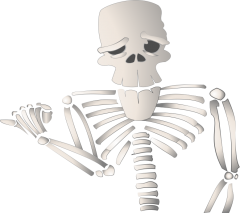 Free Skeleton Clipart
