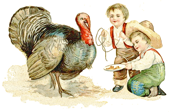 Free Tom Turkey Clipart