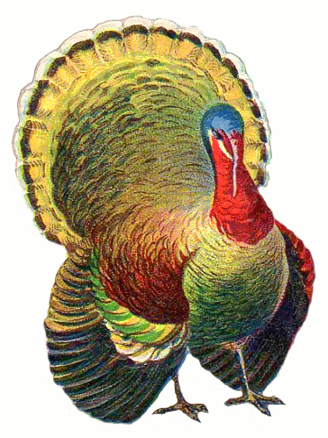 Free Thanksgiving Clipart