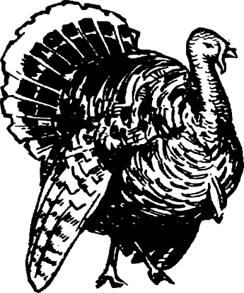 Free Turkey Clipart